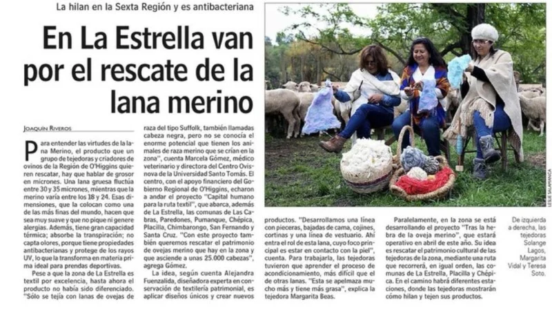 En la estrella van por el rescate de la lana merino
