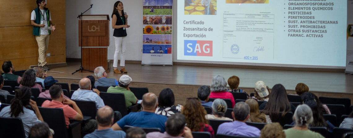 Más de 90 apicultores fortalecen su competitividad en taller sobre normativa y trazabilidad apícola en O'Higgins