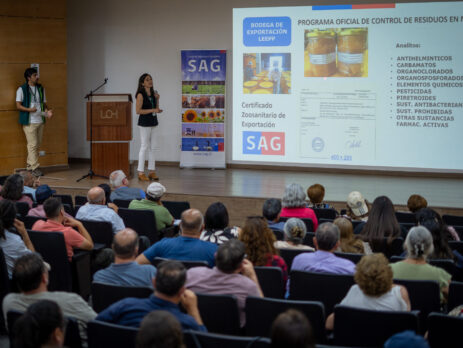 Más de 90 apicultores fortalecen su competitividad en taller sobre normativa y trazabilidad apícola en O'Higgins