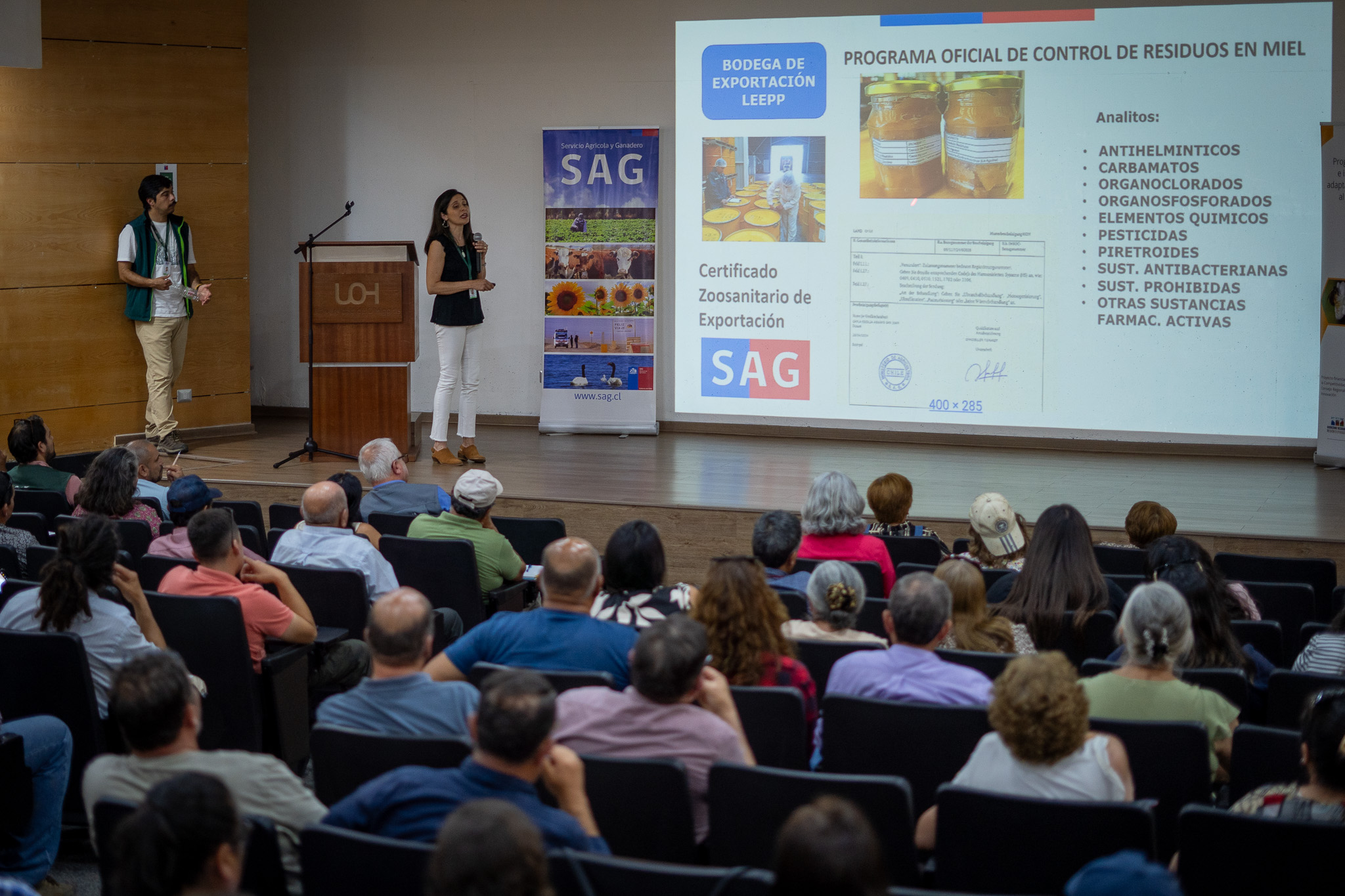 Más de 90 apicultores fortalecen su competitividad en taller sobre normativa y trazabilidad apícola en O'Higgins