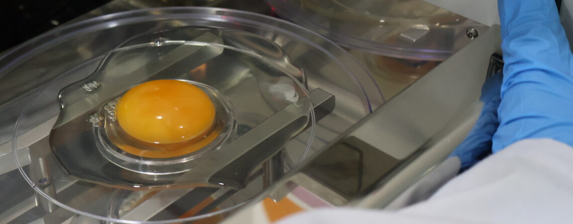 Gobierno Regional y Universidad de O’Higgins implementan laboratorio con potencial de verificar el sistema de producción de huevos de gallina