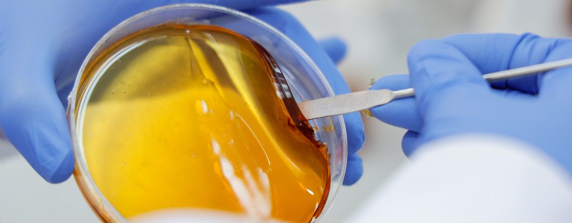 Región de O’Higgins impulsa su apicultura con laboratorio apícola y apiario demostrativo